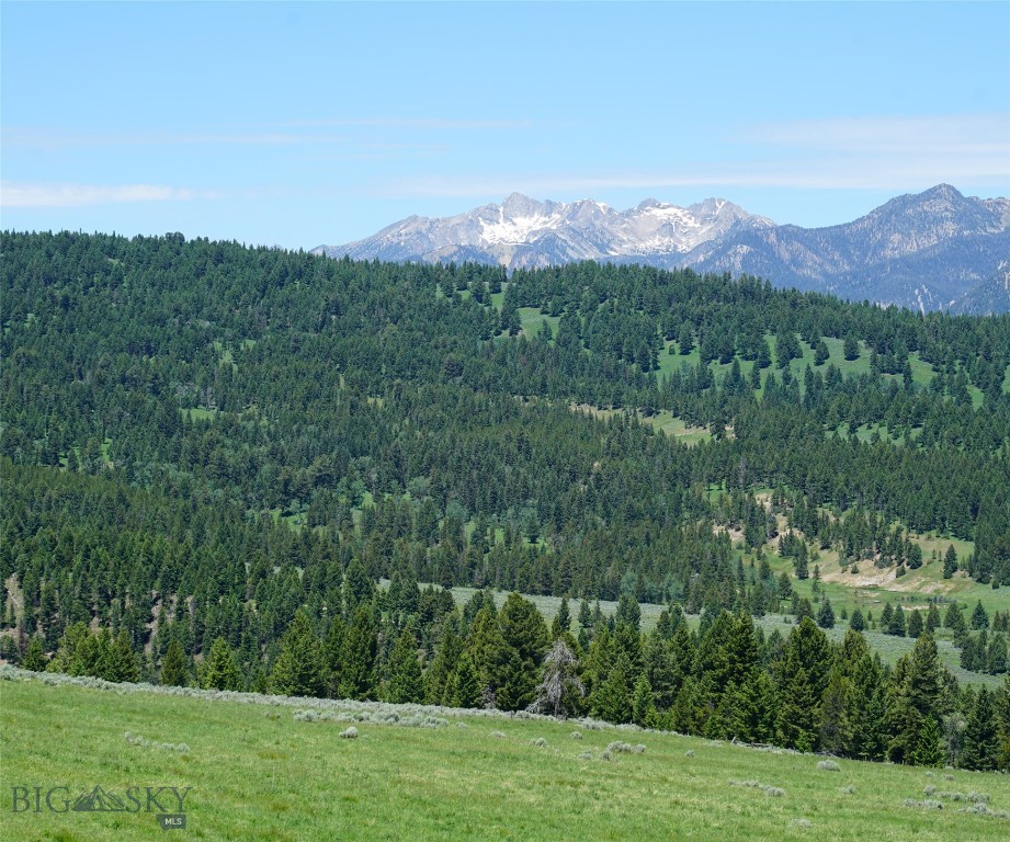 Big Sky, Montana 59716, United States, ,Land,Active,68749