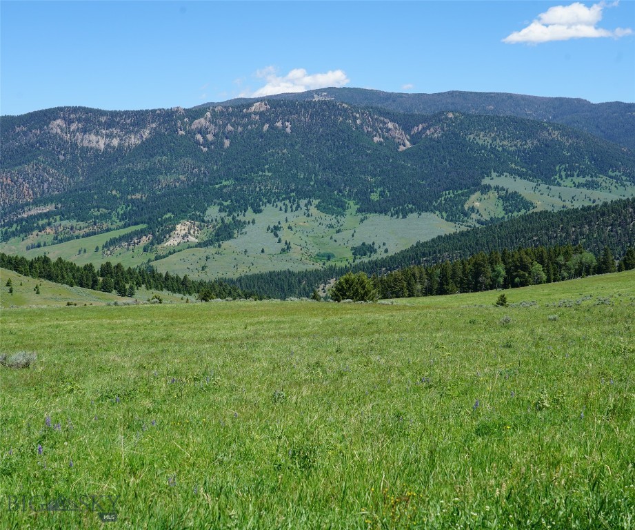 Big Sky, Montana 59716, United States, ,Land,Active,68749