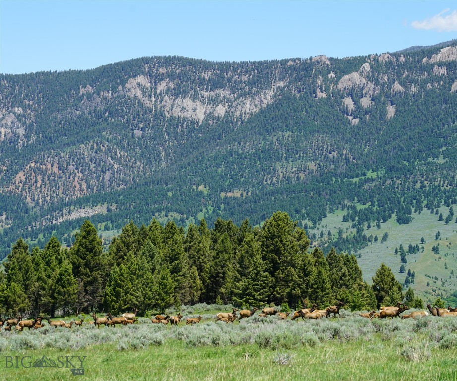 Big Sky, Montana 59716, United States, ,Land,Active,68749