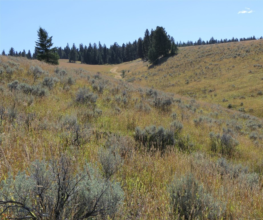 Big Sky, Montana 59716, United States, ,Land,Active,68749