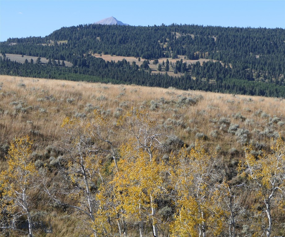 Big Sky, Montana 59716, United States, ,Land,Active,68749