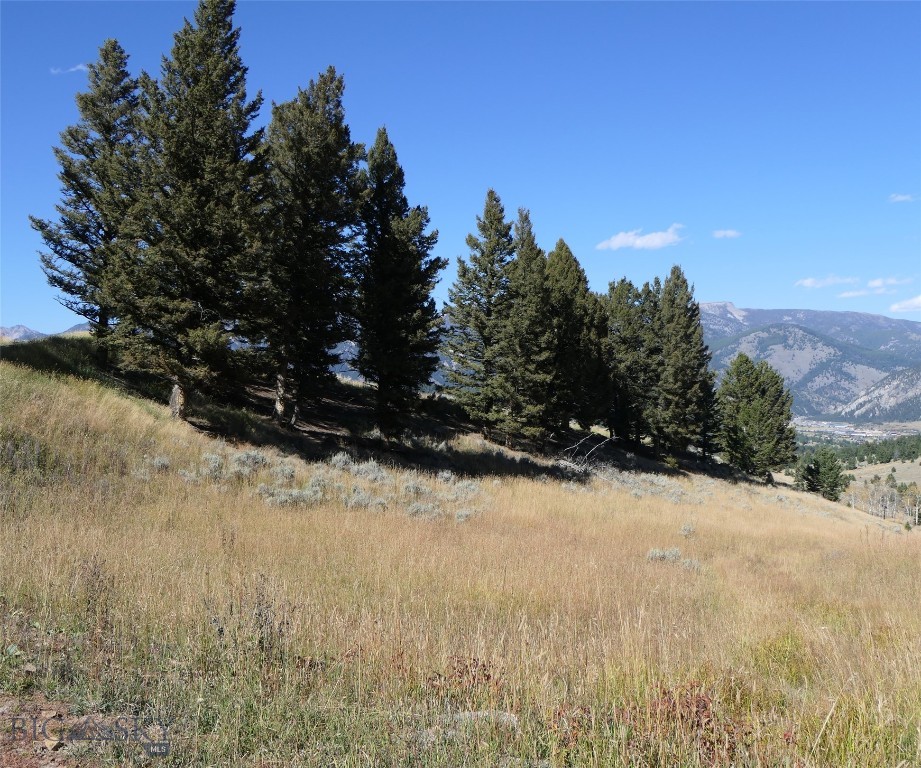 Big Sky, Montana 59716, United States, ,Land,Active,68749