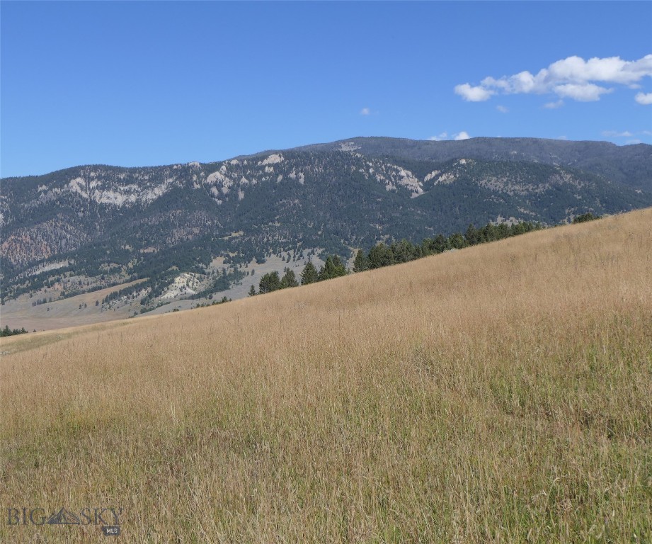Big Sky, Montana 59716, United States, ,Land,Active,68749