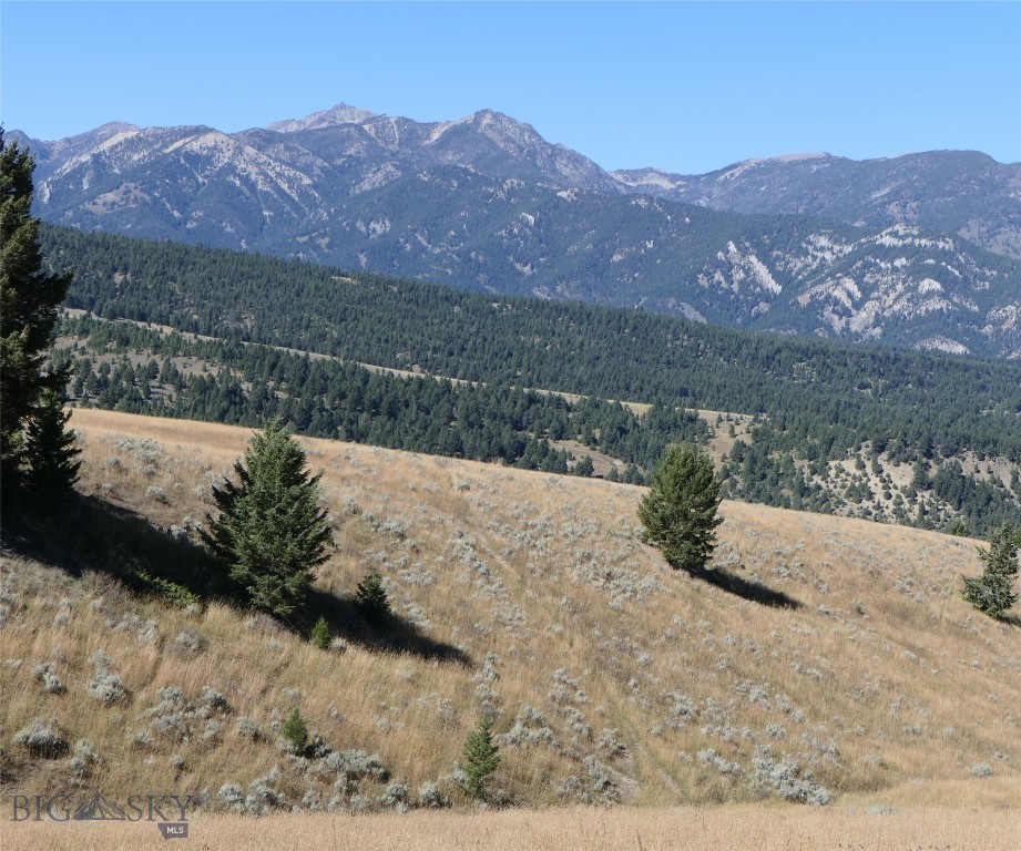 Big Sky, Montana 59716, United States, ,Land,Active,68749