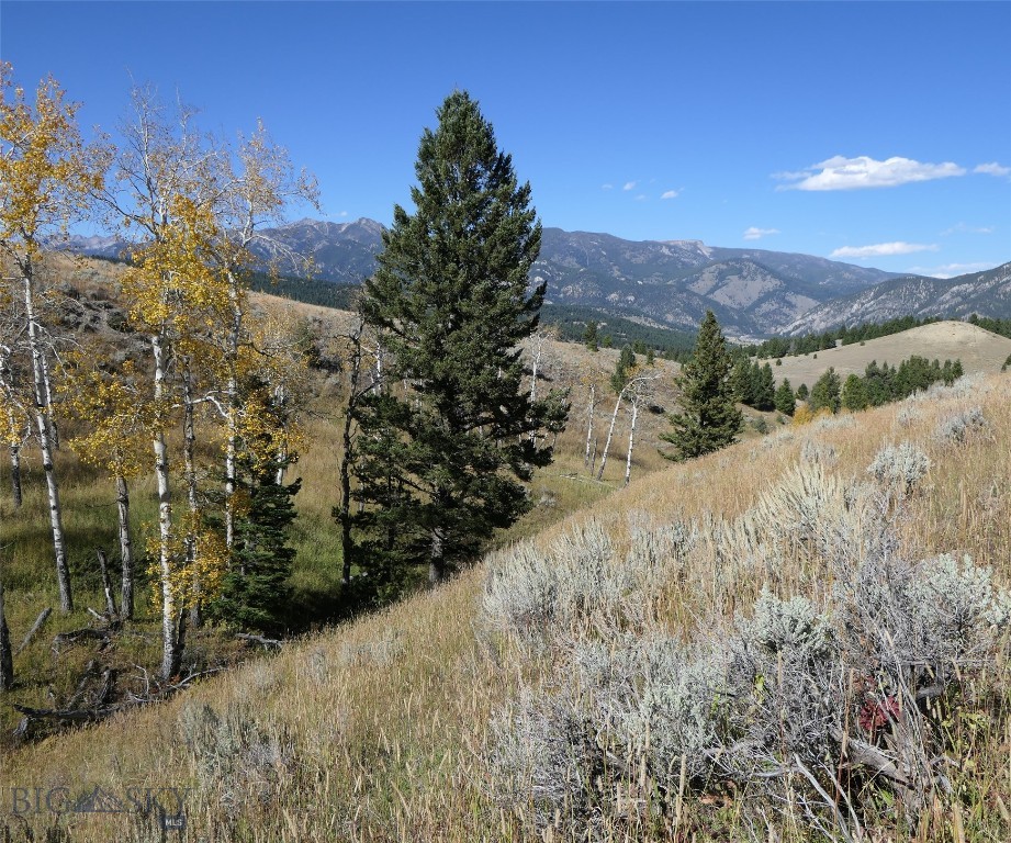 Big Sky, Montana 59716, United States, ,Land,Active,68749