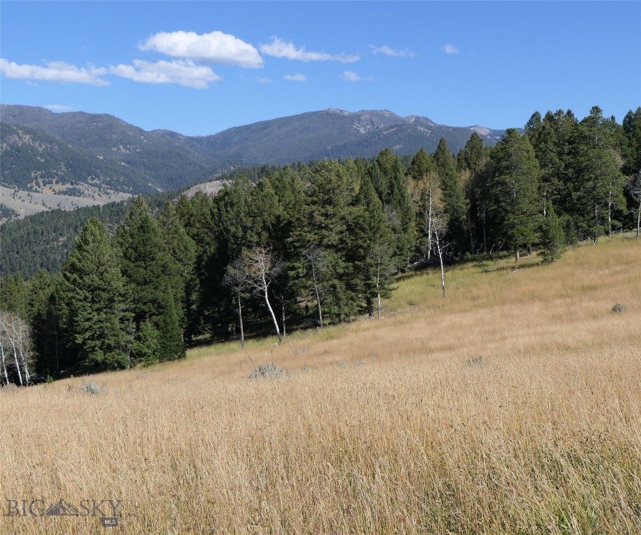 Big Sky, Montana 59716, United States, ,Land,Active,68749