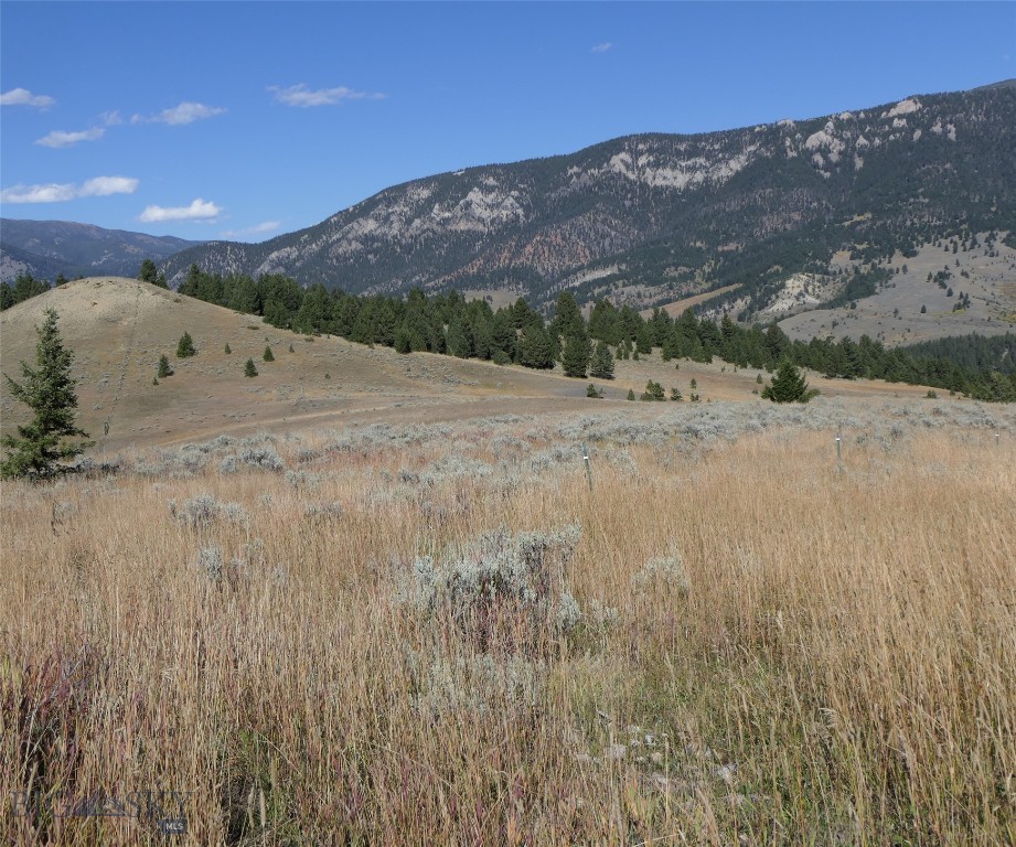 Big Sky, Montana 59716, United States, ,Land,Active,68749