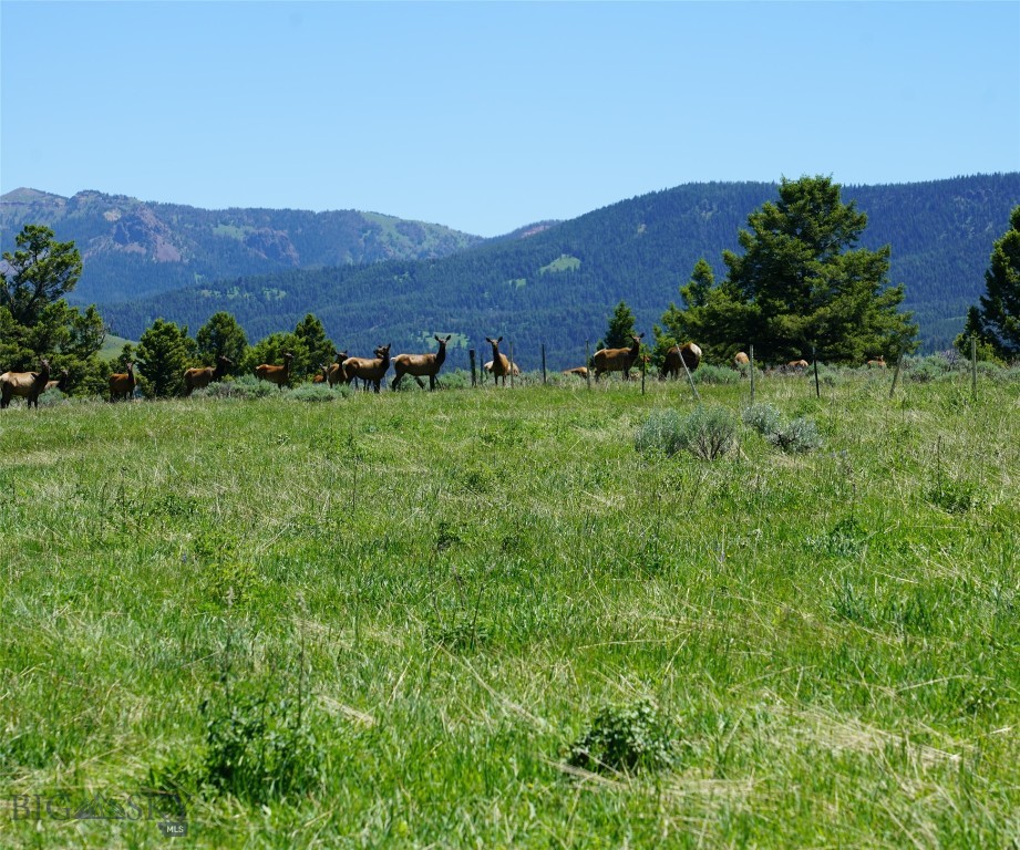 Big Sky, Montana 59716, United States, ,Land,Active,68749