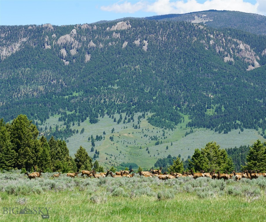 Big Sky, Montana 59716, United States, ,Land,Active,68749