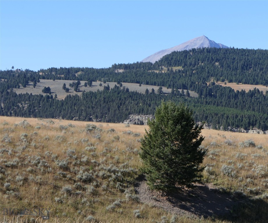 Big Sky, Montana 59716, United States, ,Land,Active,68749