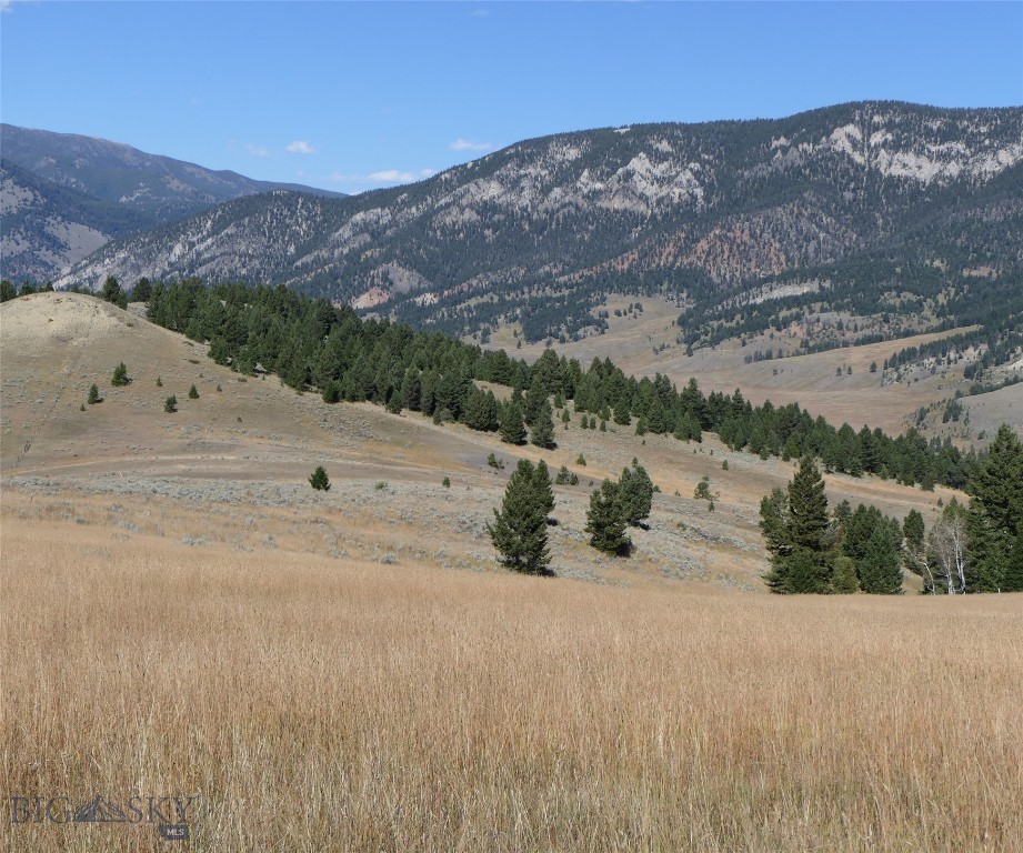 Big Sky, Montana 59716, United States, ,Land,Active,68749