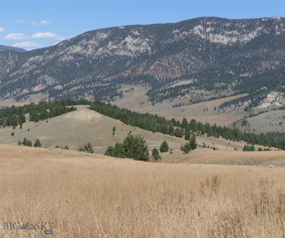 Big Sky, Montana 59716, United States, ,Land,Active,68749