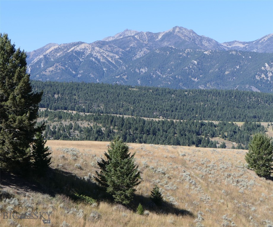 Big Sky, Montana 59716, United States, ,Land,Active,68749