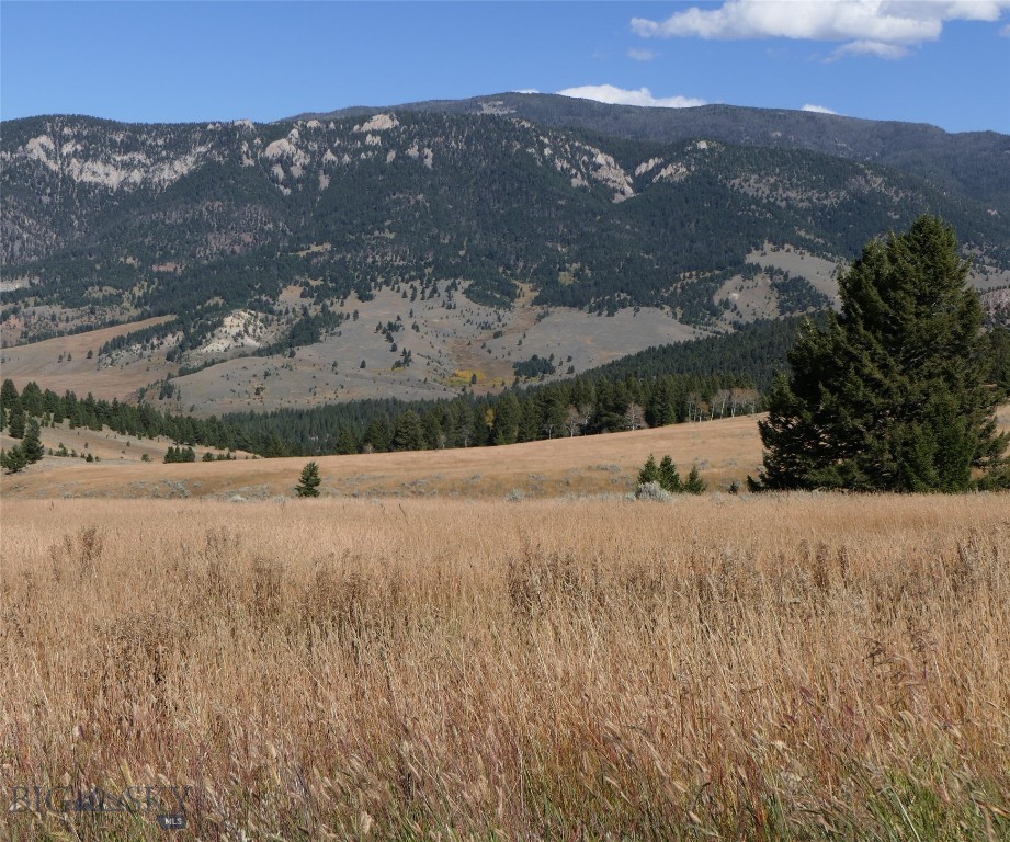 Big Sky, Montana 59716, United States, ,Land,Active,68749