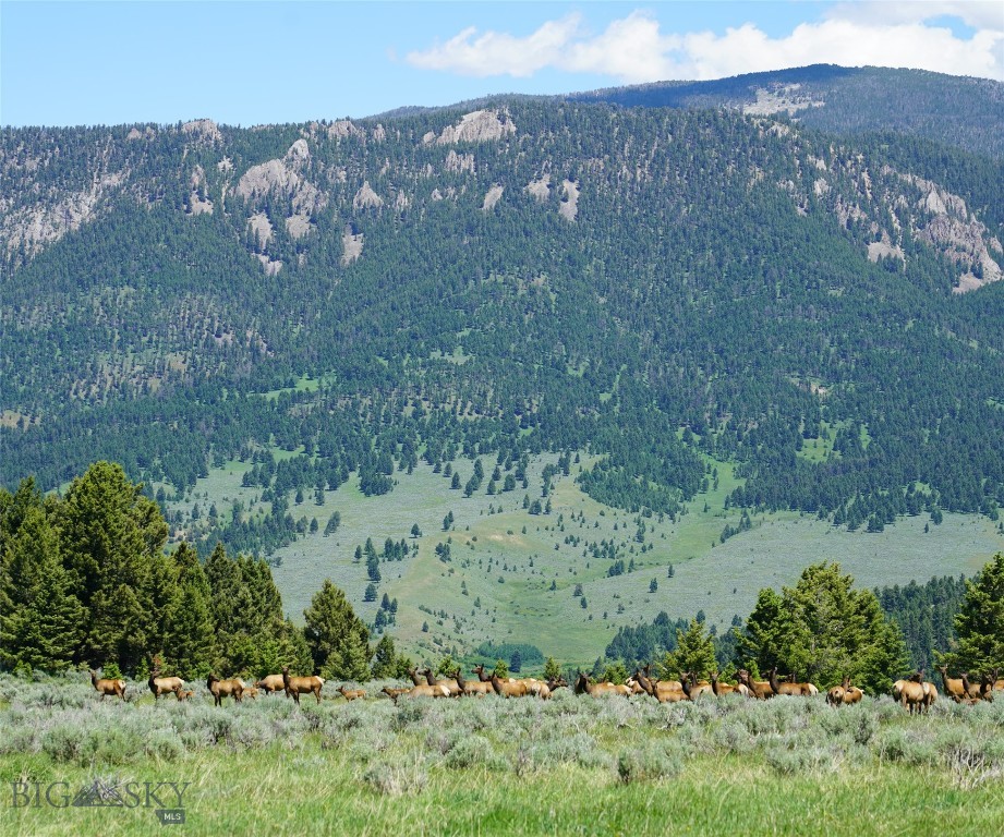 Big Sky, Montana 59716, United States, ,Land,Active,68749