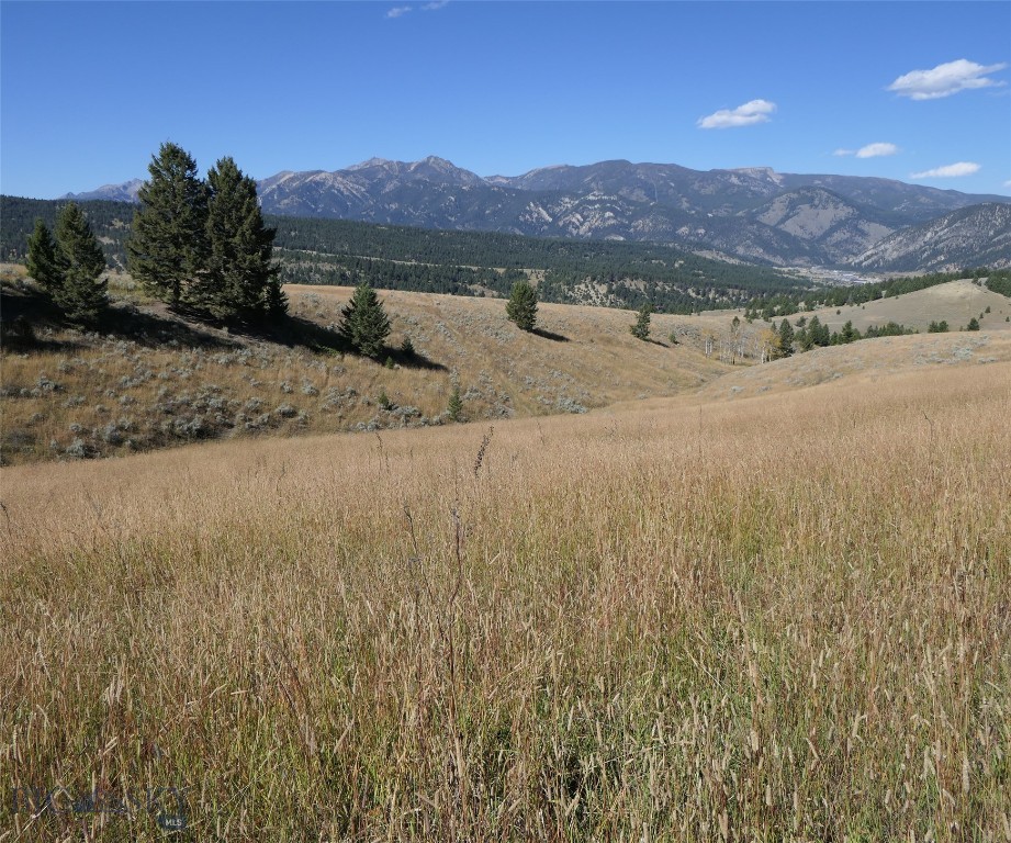 Big Sky, Montana 59716, United States, ,Land,Active,68749