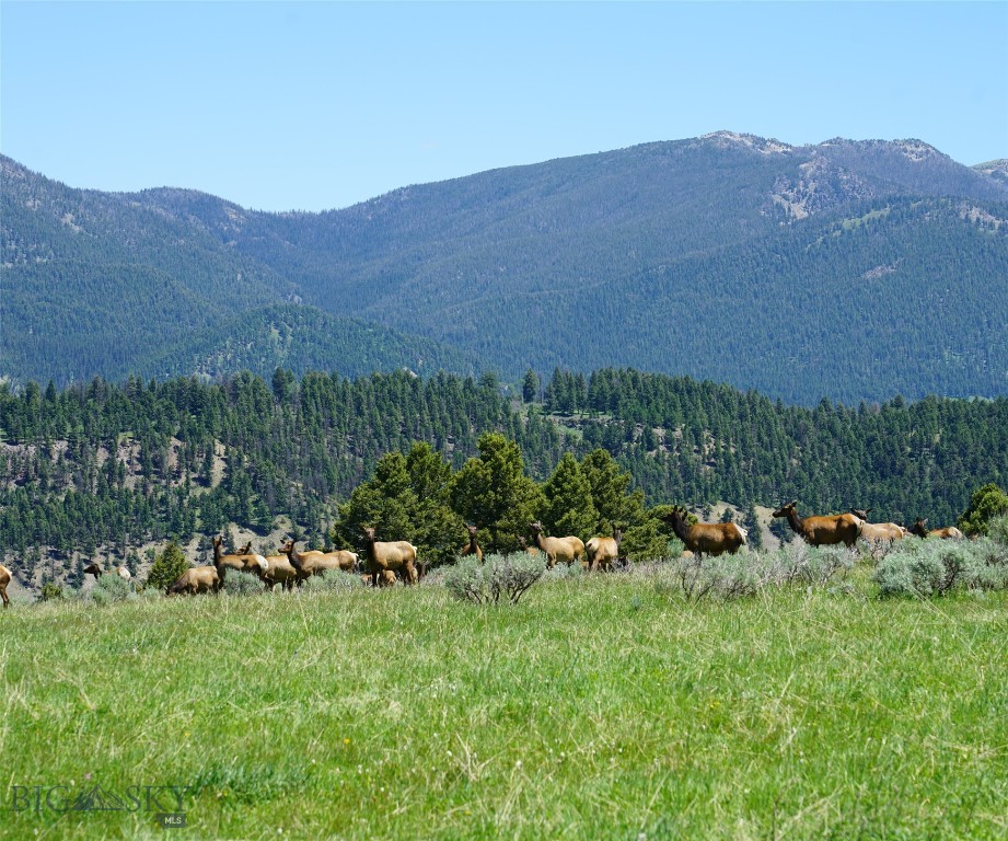 Big Sky, Montana 59716, United States, ,Land,Active,68749