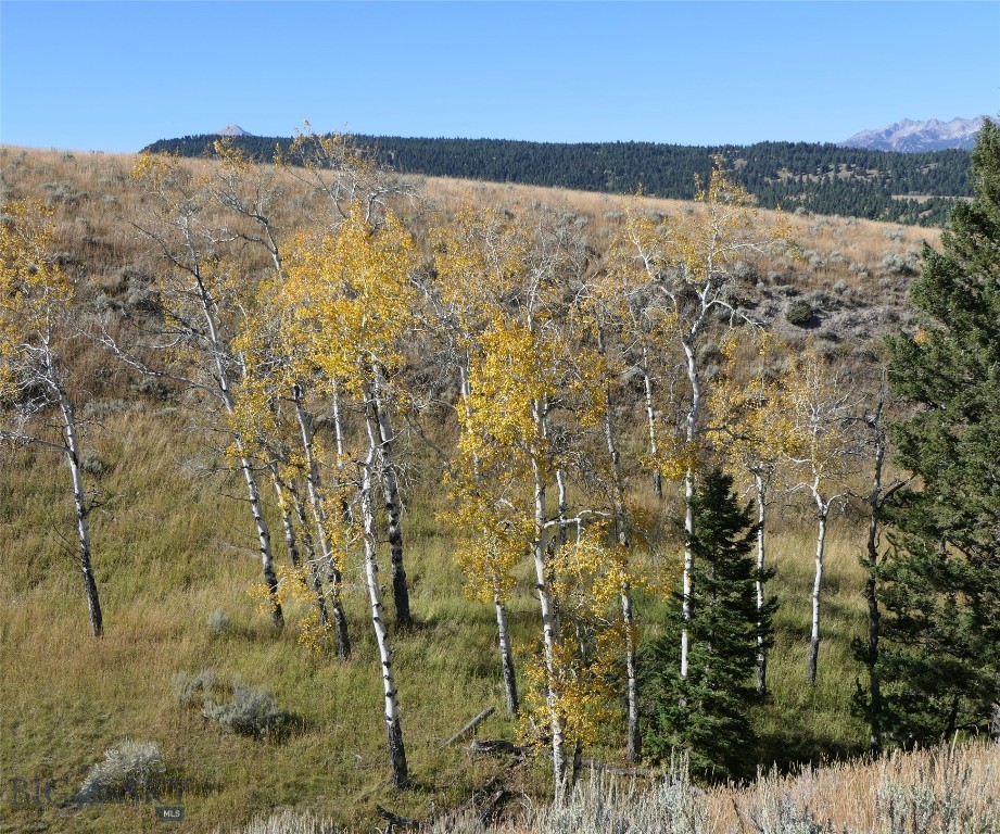 Big Sky, Montana 59716, United States, ,Land,Active,68749