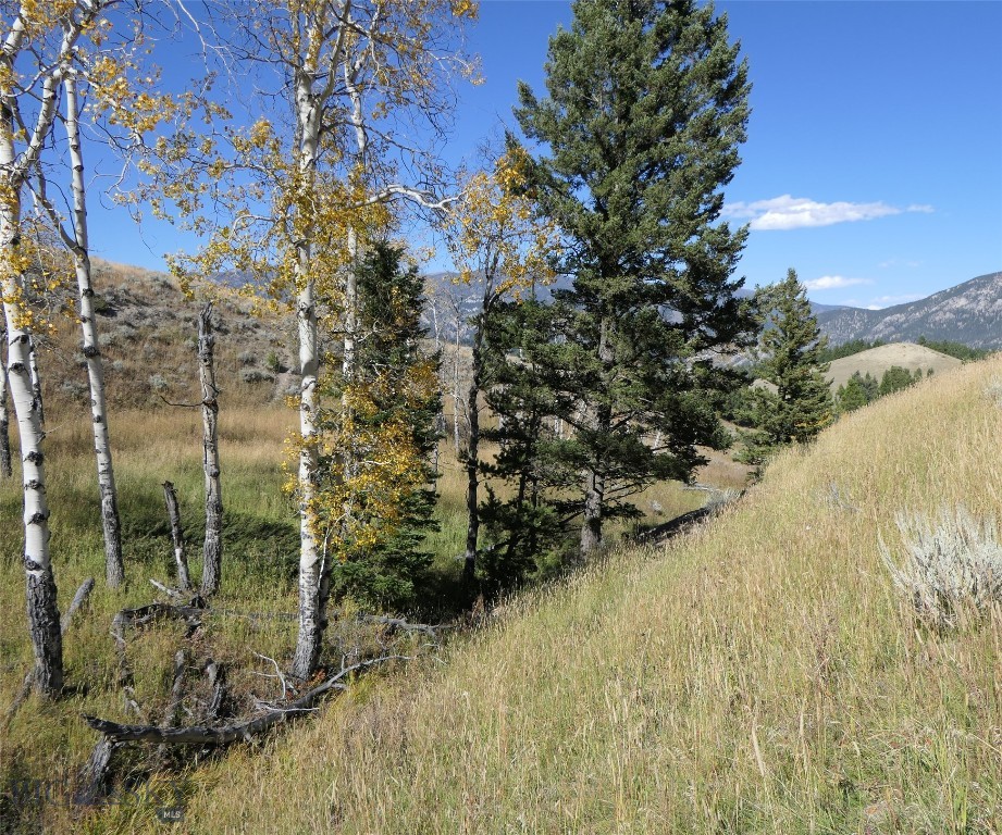 Big Sky, Montana 59716, United States, ,Land,Active,68749