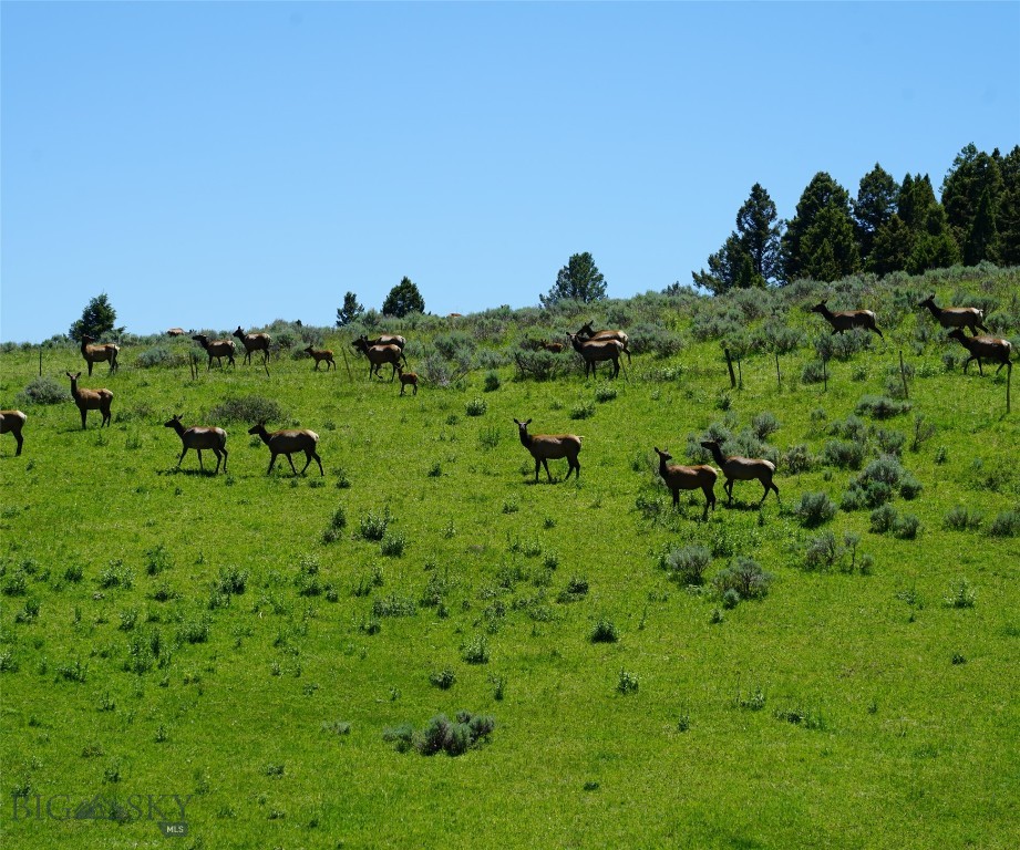 Big Sky, Montana 59716, United States, ,Land,Active,68749
