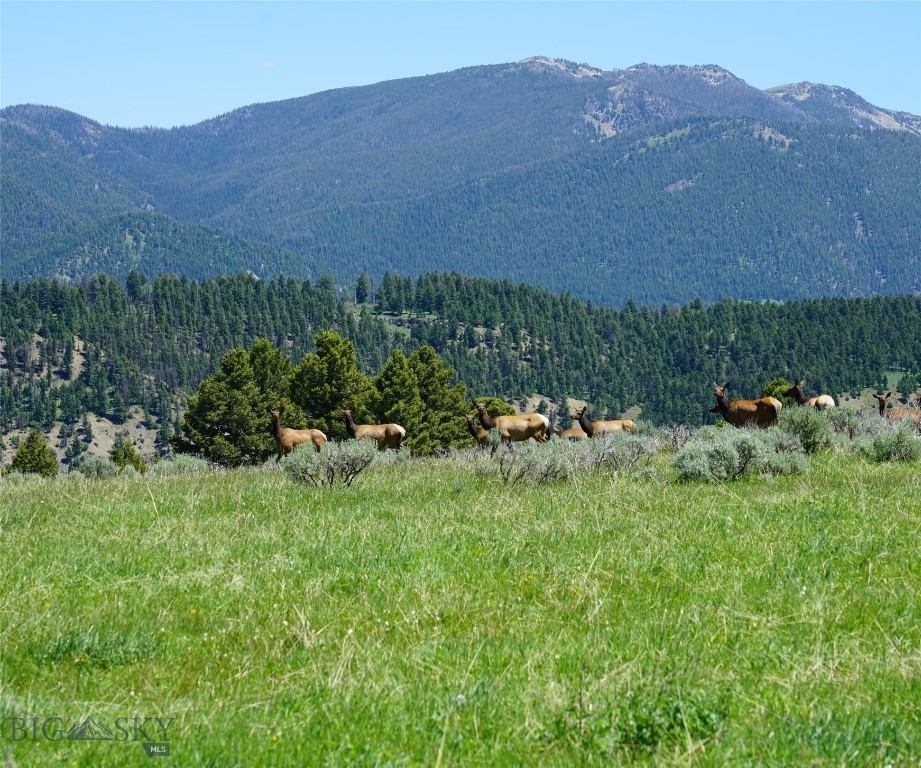Big Sky, Montana 59716, United States, ,Land,Active,68749