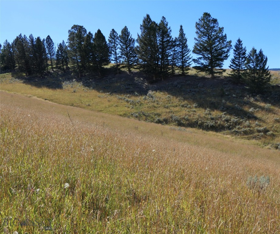 Big Sky, Montana 59716, United States, ,Land,Active,68749