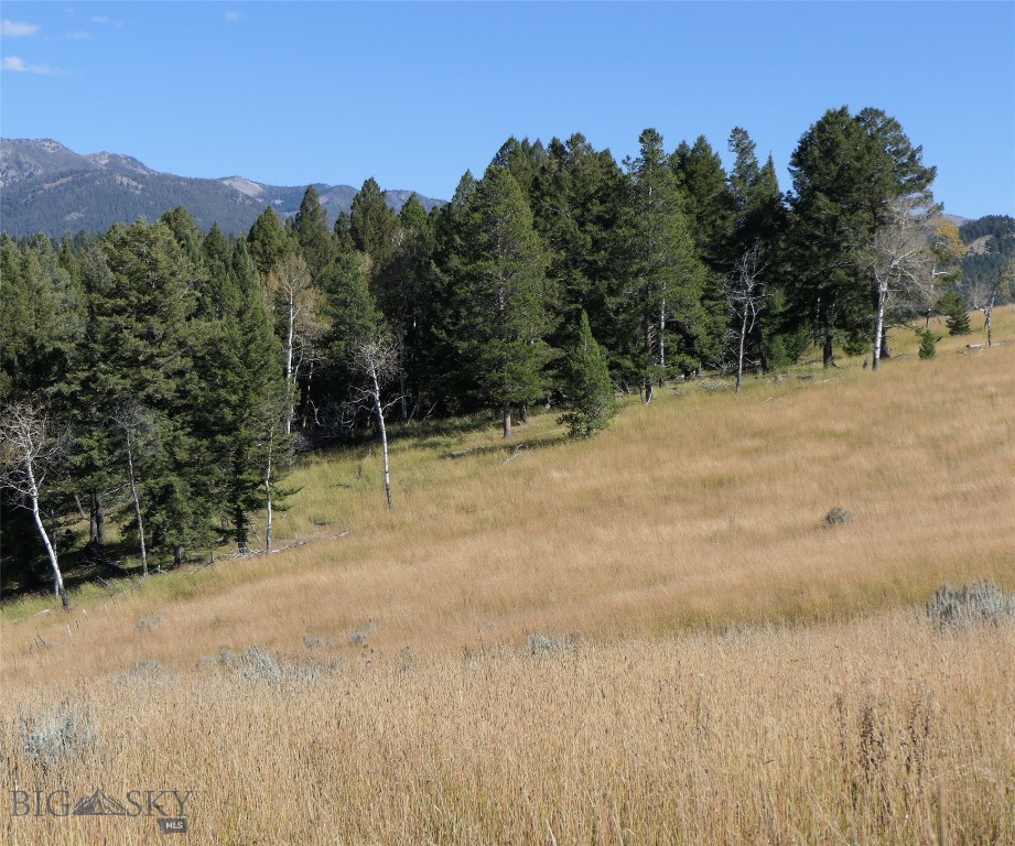 Big Sky, Montana 59716, United States, ,Land,Active,68749