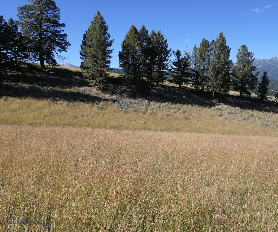 Big Sky, Montana 59716, United States, ,Land,Active,68749