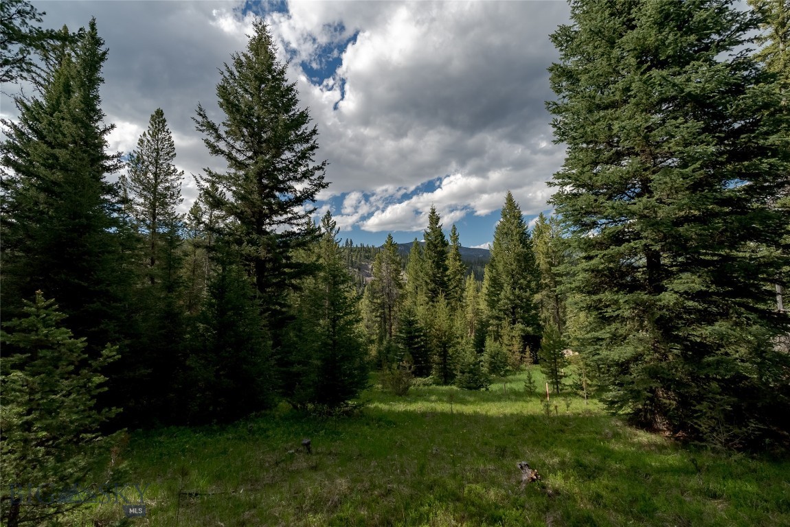 Blackfoot Hills - Land