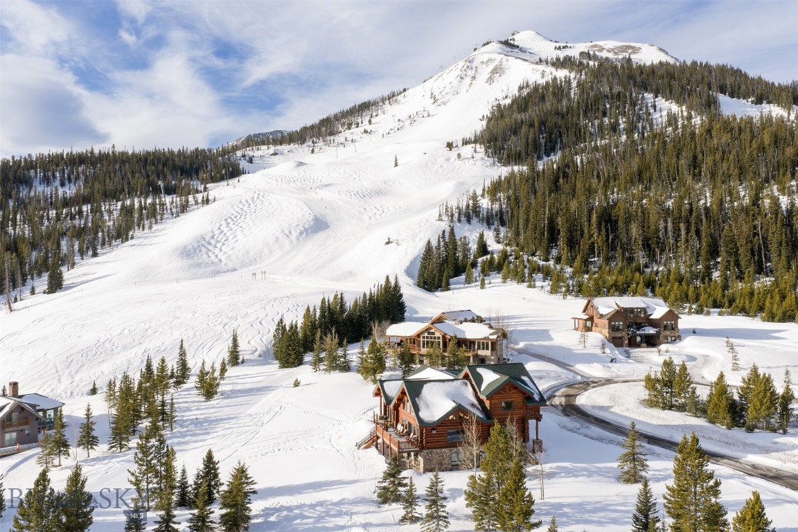 Diamond Hitch Of Ski Moonlight - Residential