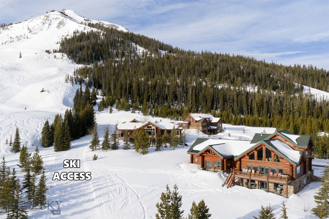 Diamond Hitch Of Ski Moonlight - Residential