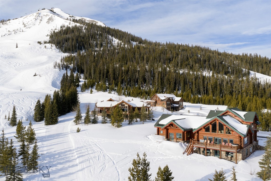 Diamond Hitch Of Ski Moonlight - Residential