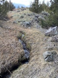 Ennis, Montana 59729, United States, 2 Bedrooms Bedrooms, ,1 BathroomBathrooms,Residential,Contingent,115341