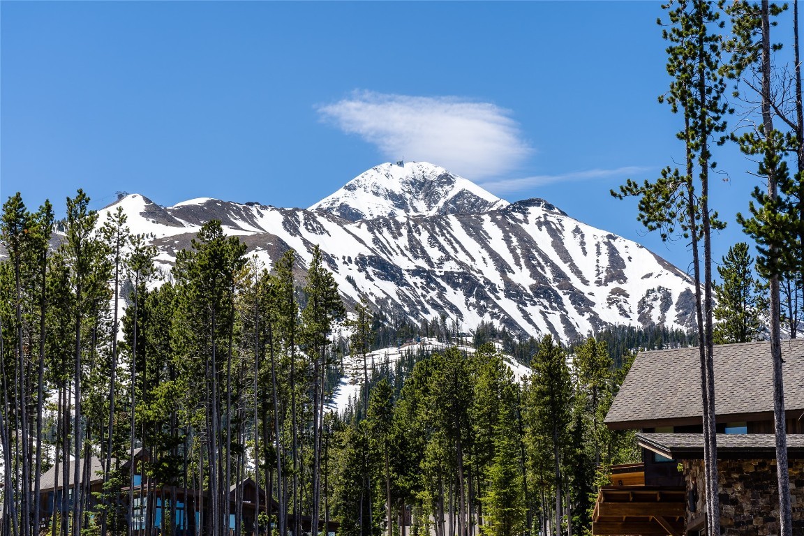 Silvertip - Residential