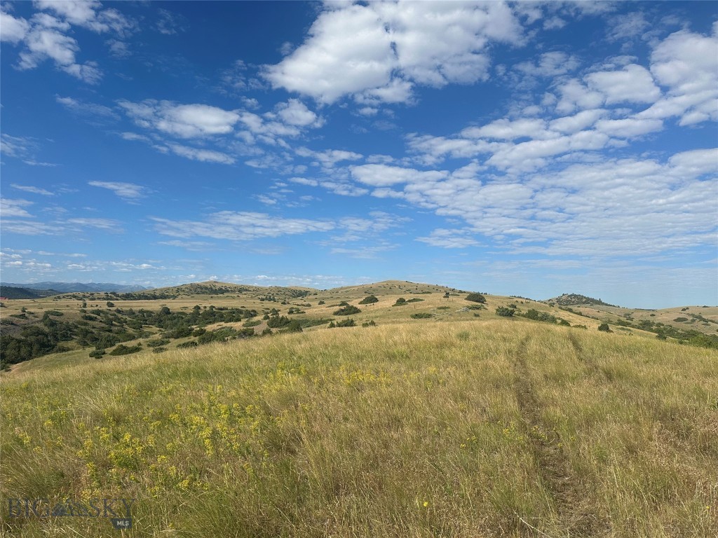 Other - Land