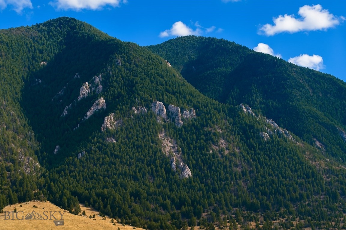 Mustang Ranches - Land