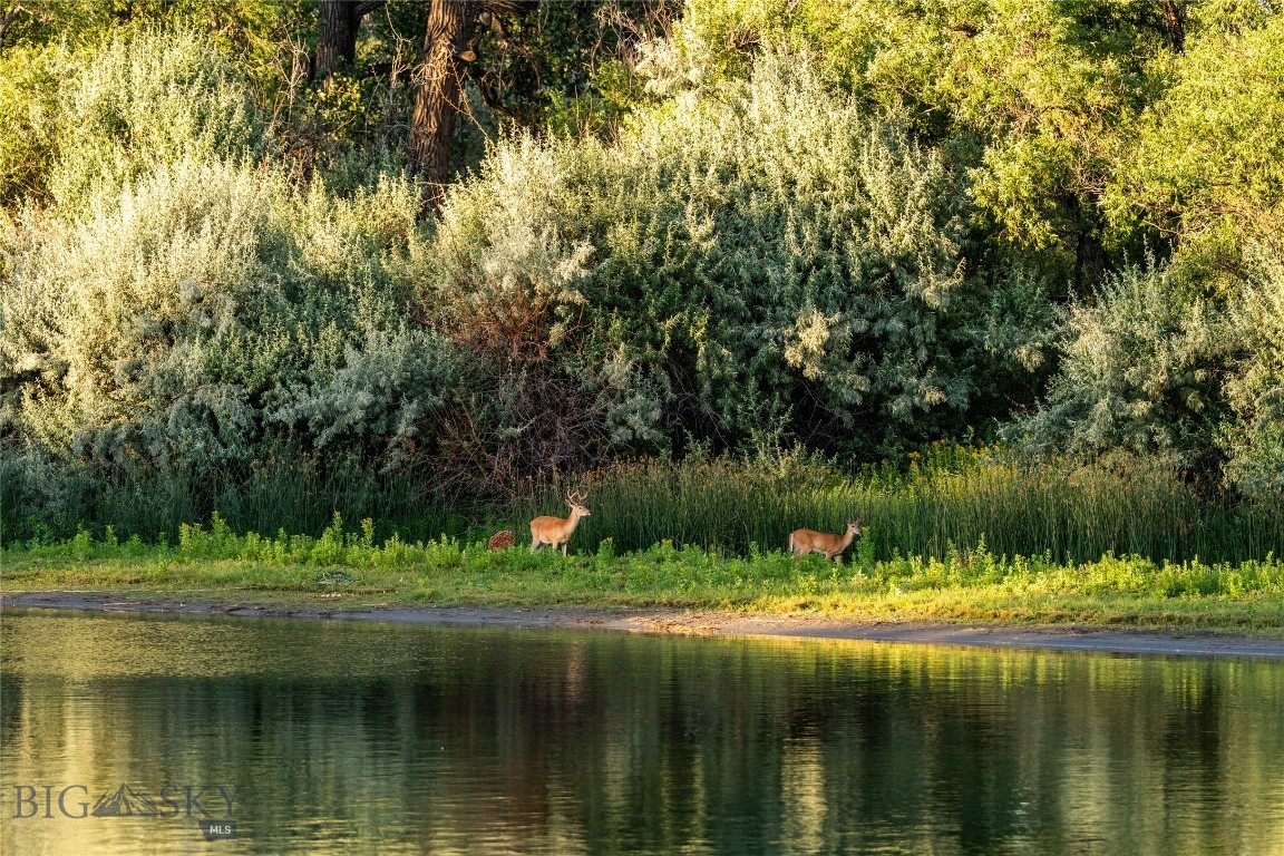 Great Falls, Montana 59404, United States, 3 Bedrooms Bedrooms, ,3 BathroomsBathrooms,Residential,Active,122478