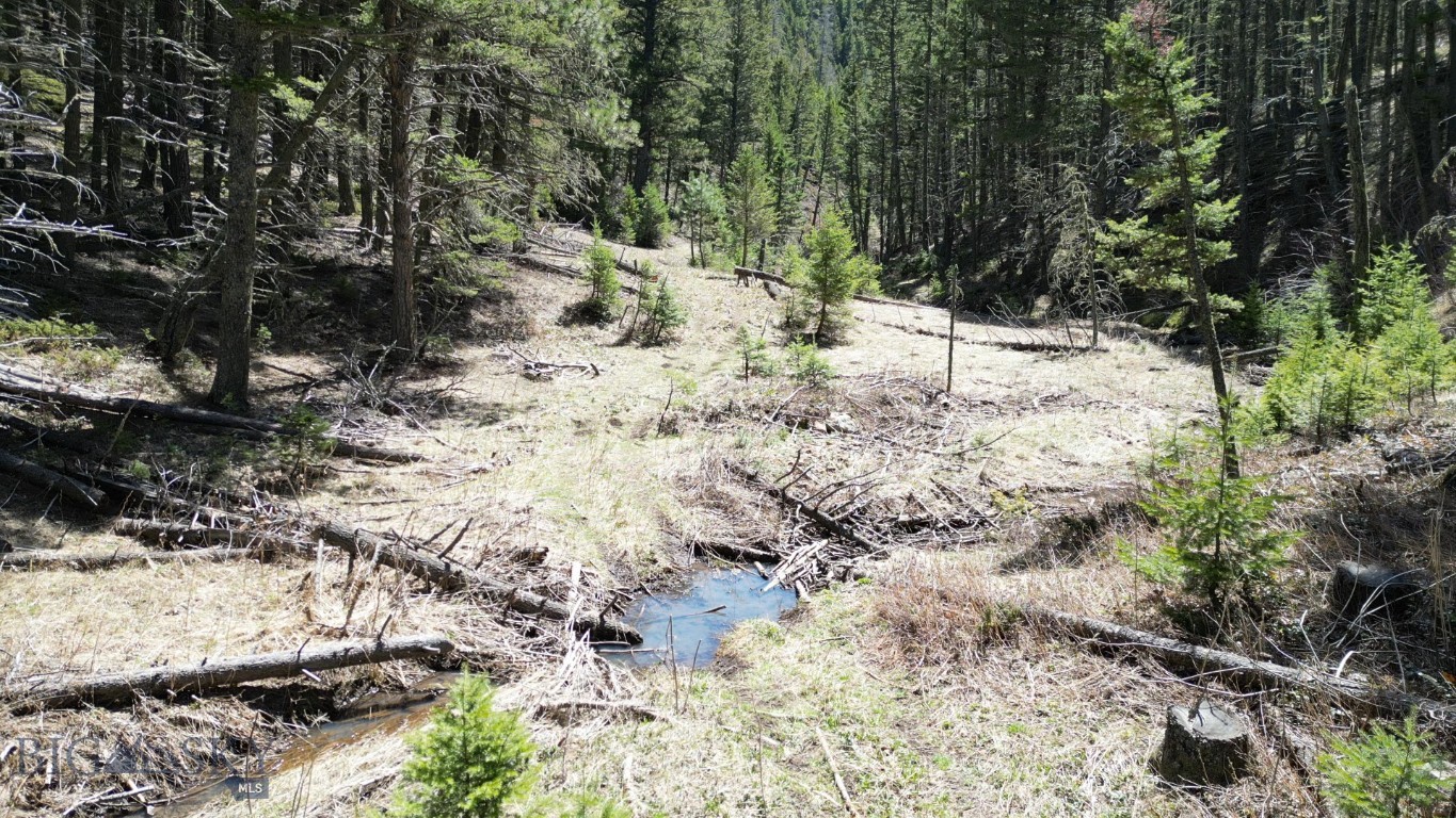 Parcel B Maiden Road