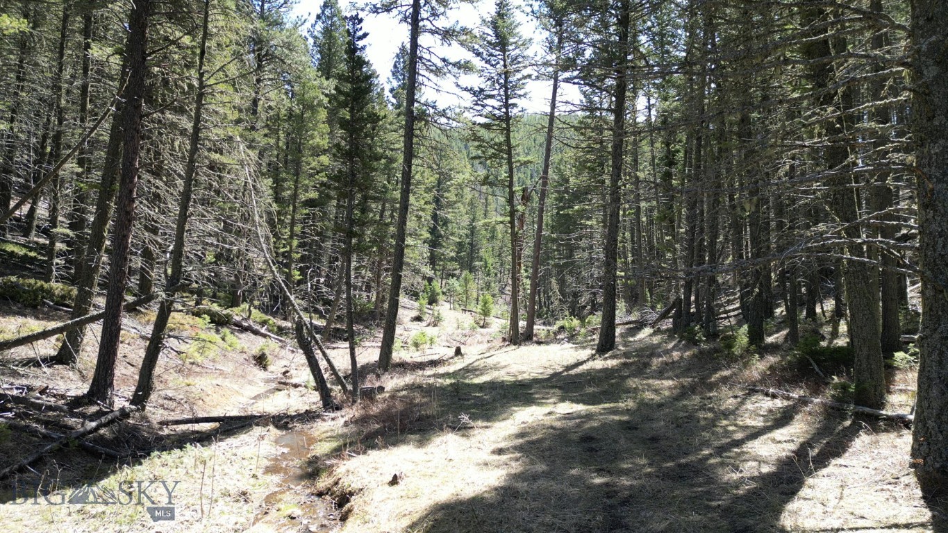 Minor Subdivision - Land