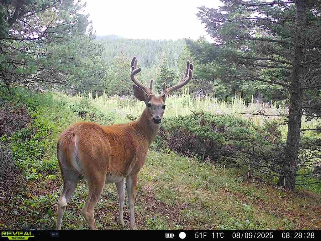 Parcel B Maiden Road