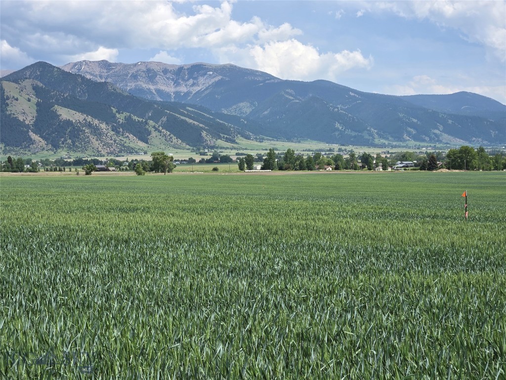 Estate Property- Introductory offering! Discover the perfect blend of natural beauty and tranquility with this stunning 20.80-acre property nestled in the heart of the Springhill area right outside of Bozeman, Montana. Situated under the majestic Ross Peak, this parcel offers breathtaking views and open space, creating an idyllic setting for your dream home or retreat. Located a short 15 minutes from downtown Bozeman, this property offers the perfect balance of seclusion and accessibility to city amenities, including dining, shopping, and cultural attractions. This is a rare opportunity to own a piece of Montana's natural splendor where the wildlife is abundant. Whether you're seeking a peaceful escape or a place to build your legacy, this land offers endless possibilities. Don't miss the chance to make this extraordinary property your own. Contact us today for more information or to schedule a viewing. Electric and gas lines to lot. There is a 3 acre building envelope to help secure the farm land environment.