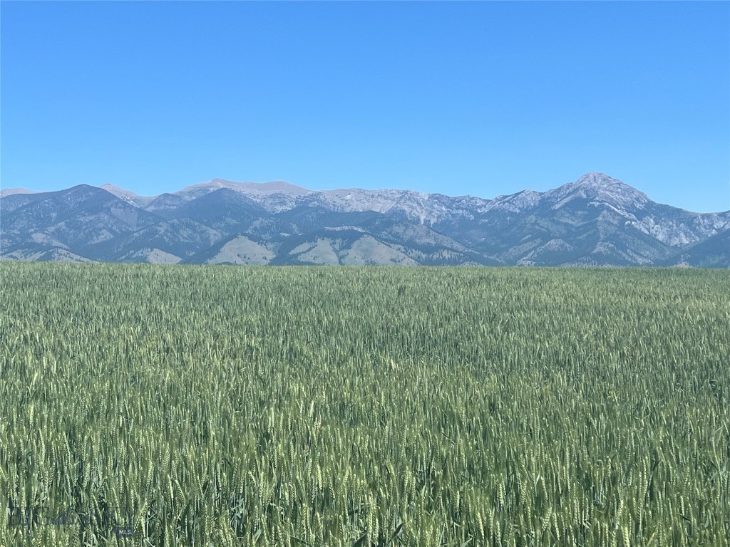 Minor Subdivision - Land