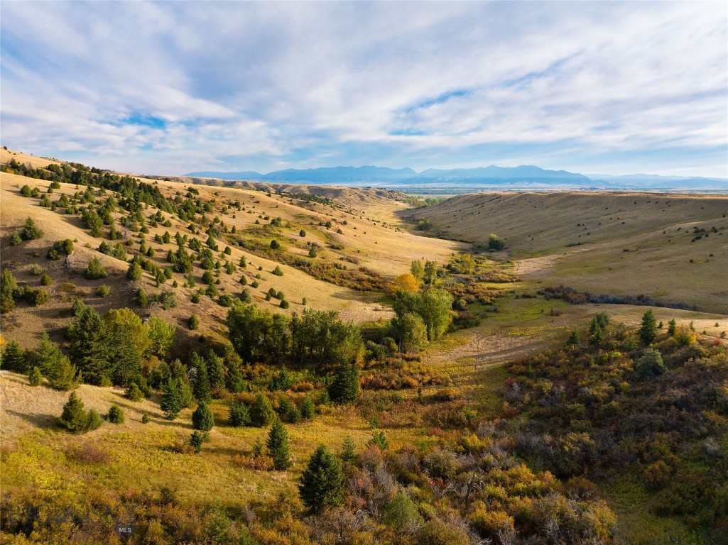 Montana Ranch - Land
