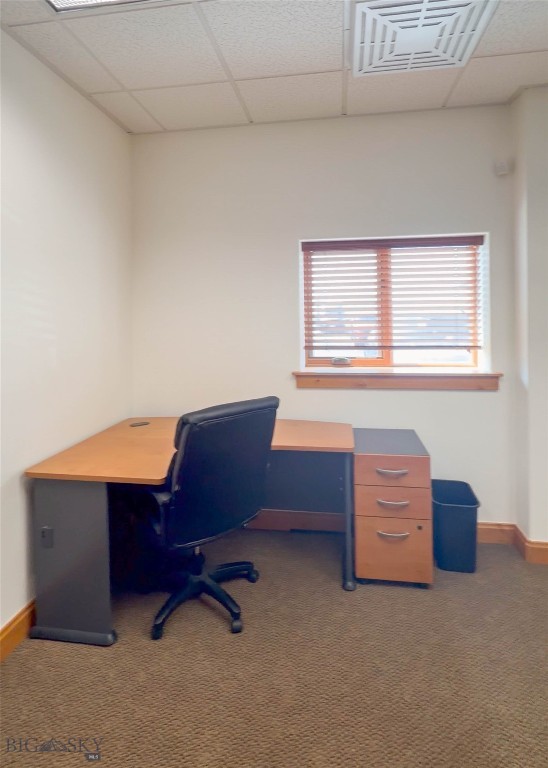 Cougar Park - Commercial Lease