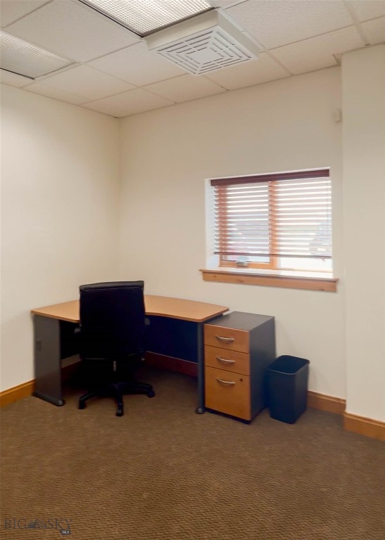 Cougar Park - Commercial Lease