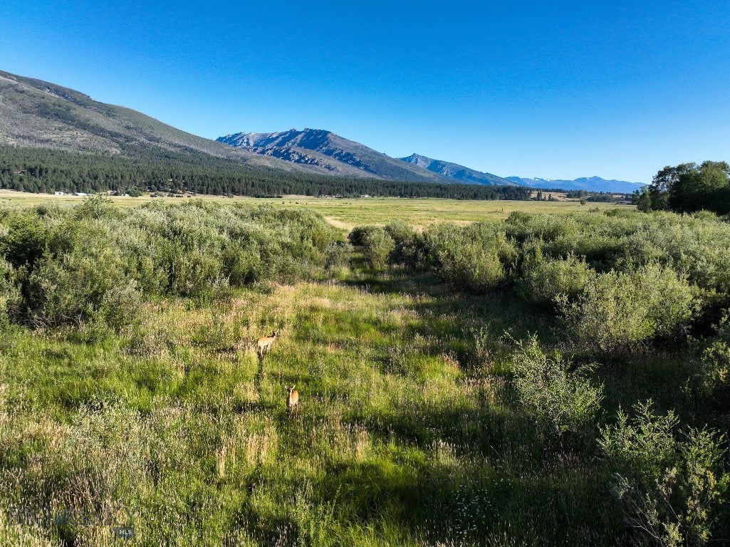 NHN Highway 93 S