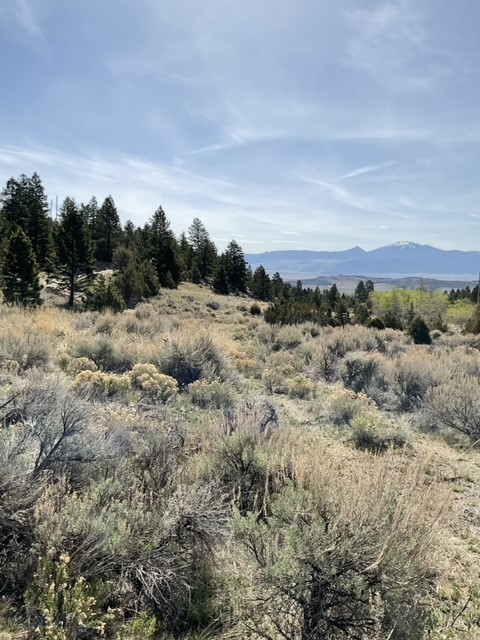 Other - Land