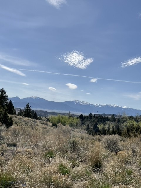 Other - Land