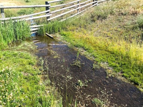 Photo of TBD Upper Deep Creek, Townsend, MT 59644 (MLS # 401290)