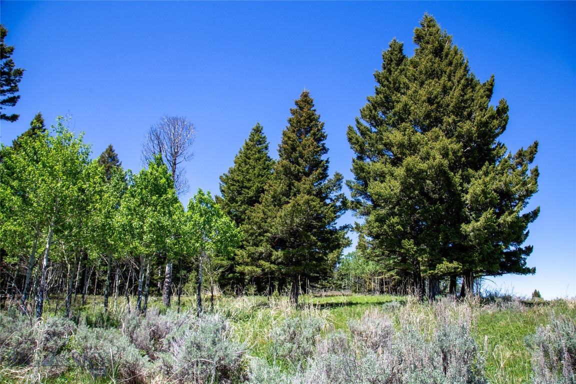 Sun West Ranch - Land